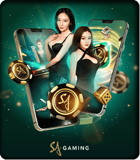 ทดลองเกมส์ Tiger Kingdom